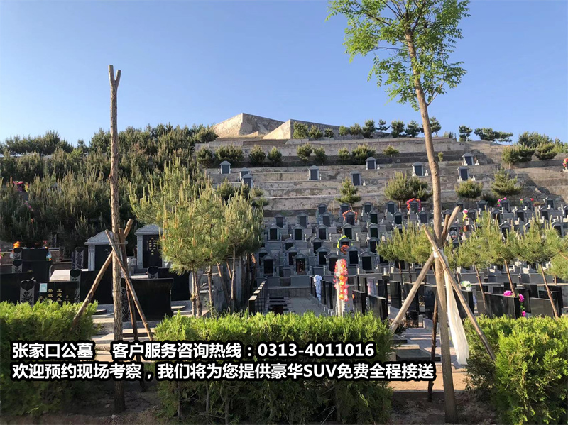 1-23062Q02RM33.jpg